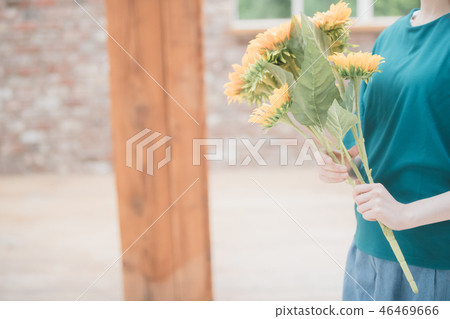 女生 女孩 女性 46469666