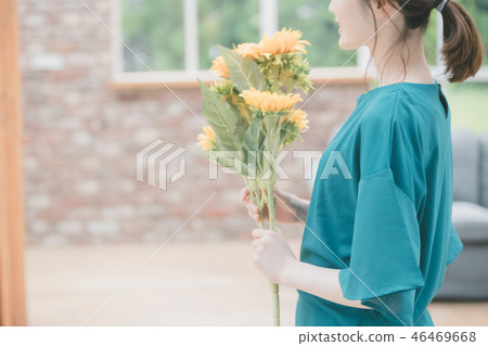 sunflower, sunflowers, female 46469668