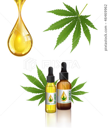 Marijuana plant and cannabis oil bottles vector. 46469962