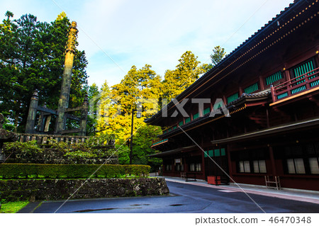 新鮮的綠色日光Rinnoji Gomado早晨世界遺產[栃木縣Nichishi市] 46470348