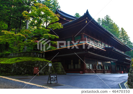 新鮮的綠色日光Rinnoji Gomado早晨世界遺產[栃木縣Nichishi市] 46470350