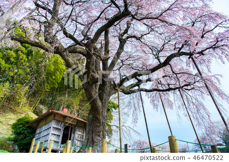 Koriyama City, Fukushima Prefecture 46470522