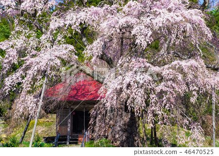 Koriyama City, Fukushima Prefecture Koriyama City, Fukushima Prefecture 46470525