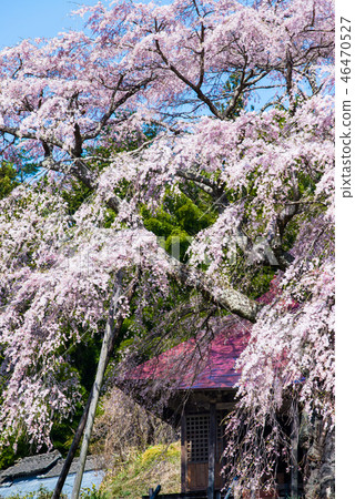 Koriyama City, Fukushima Prefecture 46470527