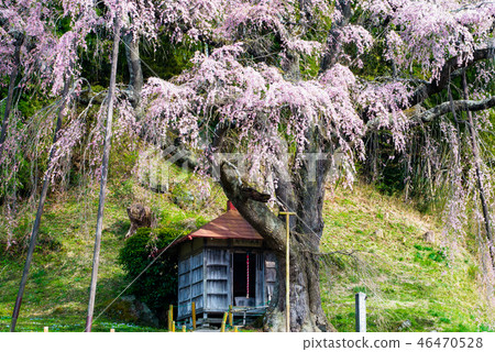 Koriyama City, Fukushima Prefecture 46470528