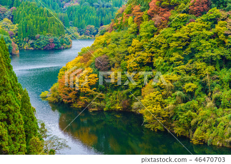 Autumn scenery from Oguni-machi Murobaruhashi [Osokuni-cho, Aso-gun, Kumamoto Prefecture] 46470703