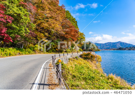Beautiful landscape road side around lake kawaguchiko 46471050