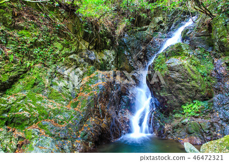 Autumn scenery of the waterfall of Kuoto (Kogase waterfall) [Fukuoka Ukiha city] 46472321