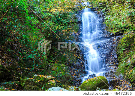 蒼井瀑布（Kogase瀑布）的秋天風景[福岡浮世城] 46472396