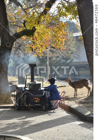 Nara Park Morning Scene 46472569