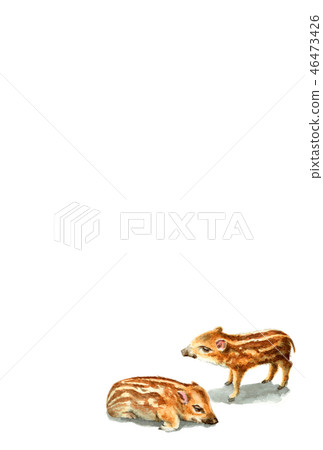 Uri Bo's New Year postcard material 46473426