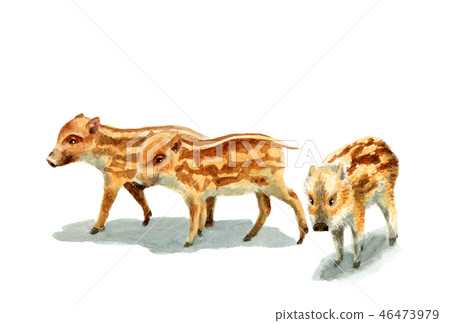 Uri Bo的新年明信片材料 Uri Bo的新年明信片材料 46473979