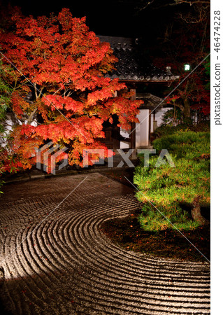 Teijin 2018 Autumn 46474228