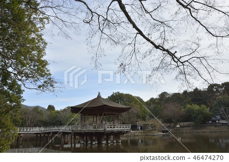 奈良公園Seiri池塘的Ukifumido 46474270