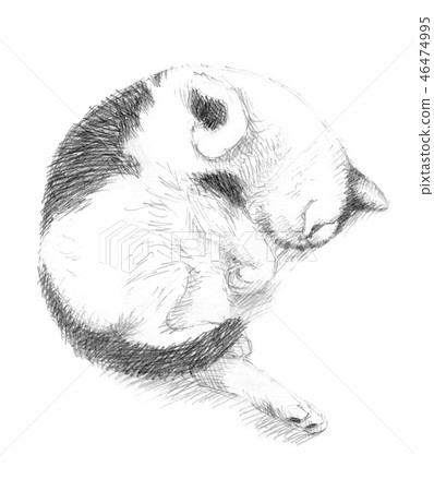 黑白貓鉛筆槌球 46474995