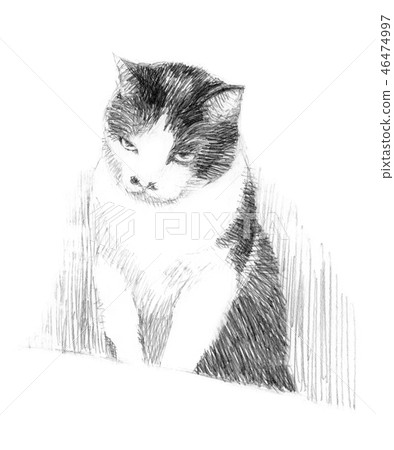 黑白貓鉛筆槌球 46474997