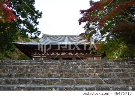 Shingoji 2018年秋天 46475713