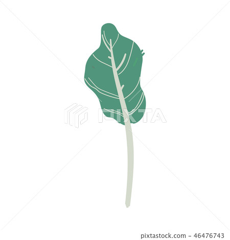 Vector abstract green tree plant cartoon icon 46476743