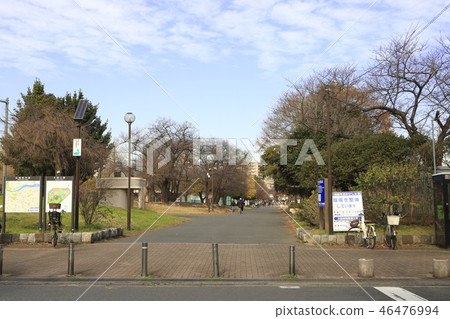 大石公園川崎大師 大石公園川崎大師 46476994