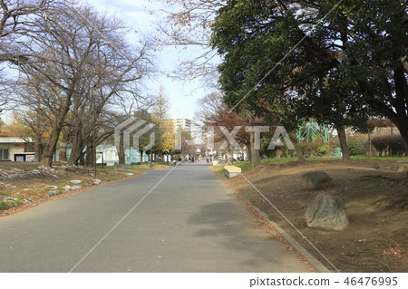 大石公園川崎大師 大石公園川崎大師 46476995