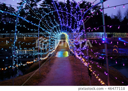 National Alps Azumino Park (Horigan / Hotaka area): Pageant of light and forest: Tunnel of light Azumino City 46477118