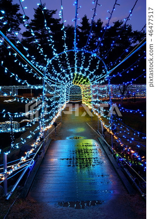 National Alps Azumino Park (Horigan / Hotaka area): Pageant of light and forest: Tunnel of light Azumino City 46477517