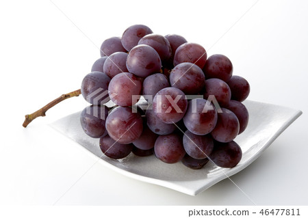 pione, pione grapes, grape 46477811
