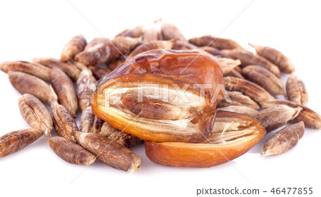 dried fruits from date palm isolated on white dried fruits from date palm isolated on white 46477855