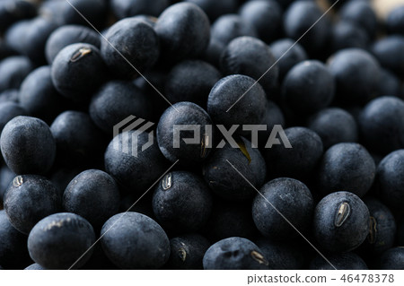 Tamba's black soybeans 46478378