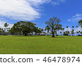 Wailoa河州立公園 46478974