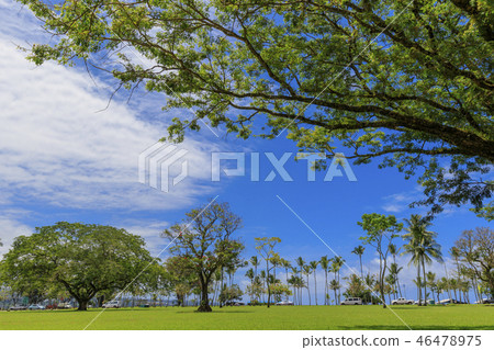 Wailoa河州立公園 Wailoa河州立公園 46478975