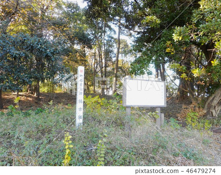 Remains of ancient castle 46479274