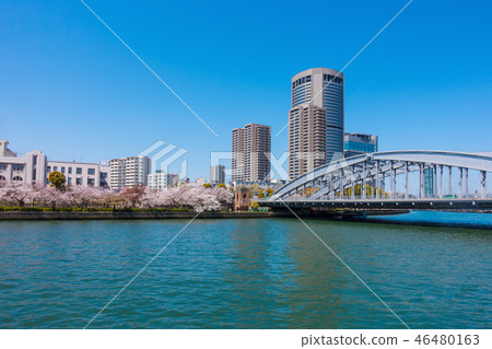 大阪美化公園和Yonbashi 46480163