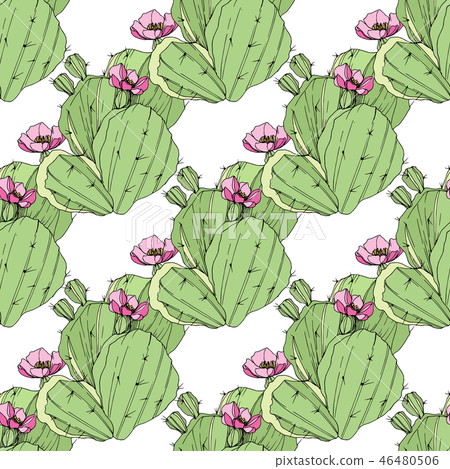 Vector Cacti botanical flower. Green engraved ink art. Seamless background pattern. Fabric wallpaper Vector Cacti botanical flower. Green engraved ink art. Seamless background pattern. Fabric wallpaper 46480506