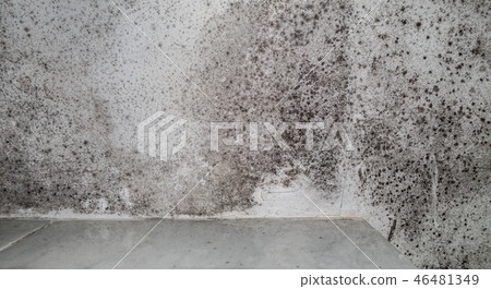 Black damp patches in white bath roof 46481349
