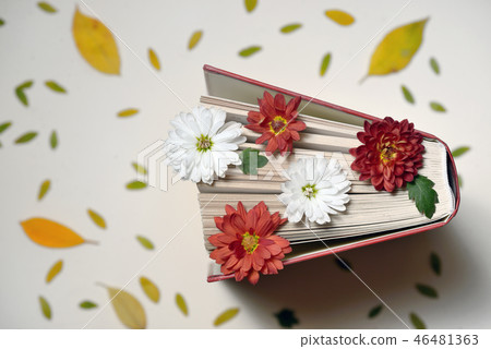Autumn still life with open book and  flowers 46481363
