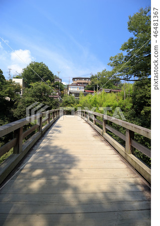 Saruibashi 46481367