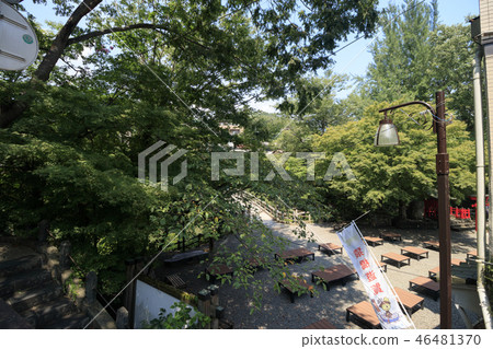 Saruibashi Saruibashi 46481370
