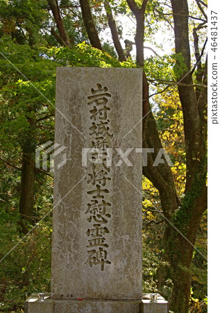 Landscape of Iwamura Castle 46481437