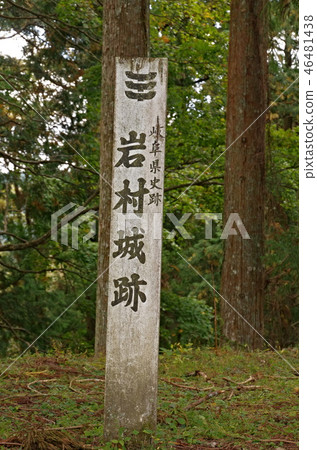 Landscape of Iwamura Castle 46481438