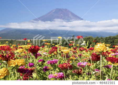 富士山 46481501