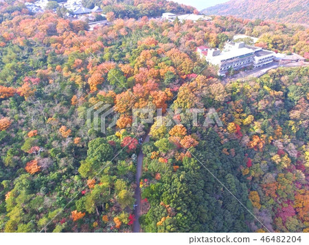 Aerial photograph in Yashima - Drone (Kagawa prefecture, Takamatsu city) Aerial photograph in Yashima - Drone (Kagawa prefecture, Takamatsu city) 46482204
