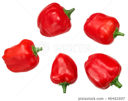Malawi piquante pepperdew peppers, paths, top 46482897