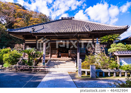 (Shimoda City, Shizuoka Prefecture) Perry Road Ryosenji 46482994