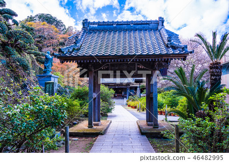(靜岡縣下田市)Perry Road Ryosenji (靜岡縣下田市)Perry Road Ryosenji 46482995