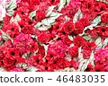 紅色花背景材料 46483035