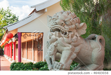 Chinese lion statue Chinese lion statue 46483038