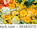 五顏六色的花背景材料 46483070