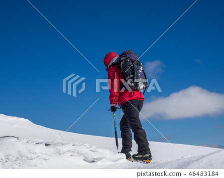 Winter walker Winter walker 46483184