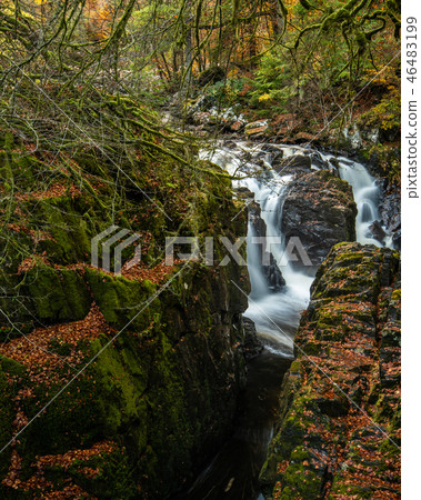 Autumn on the River Braan in Perthshire 46483199